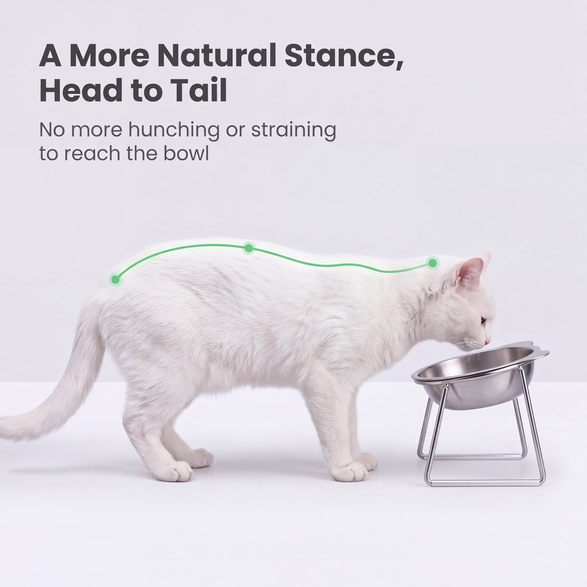 Hevori EasyRise™ Cat Bowl
